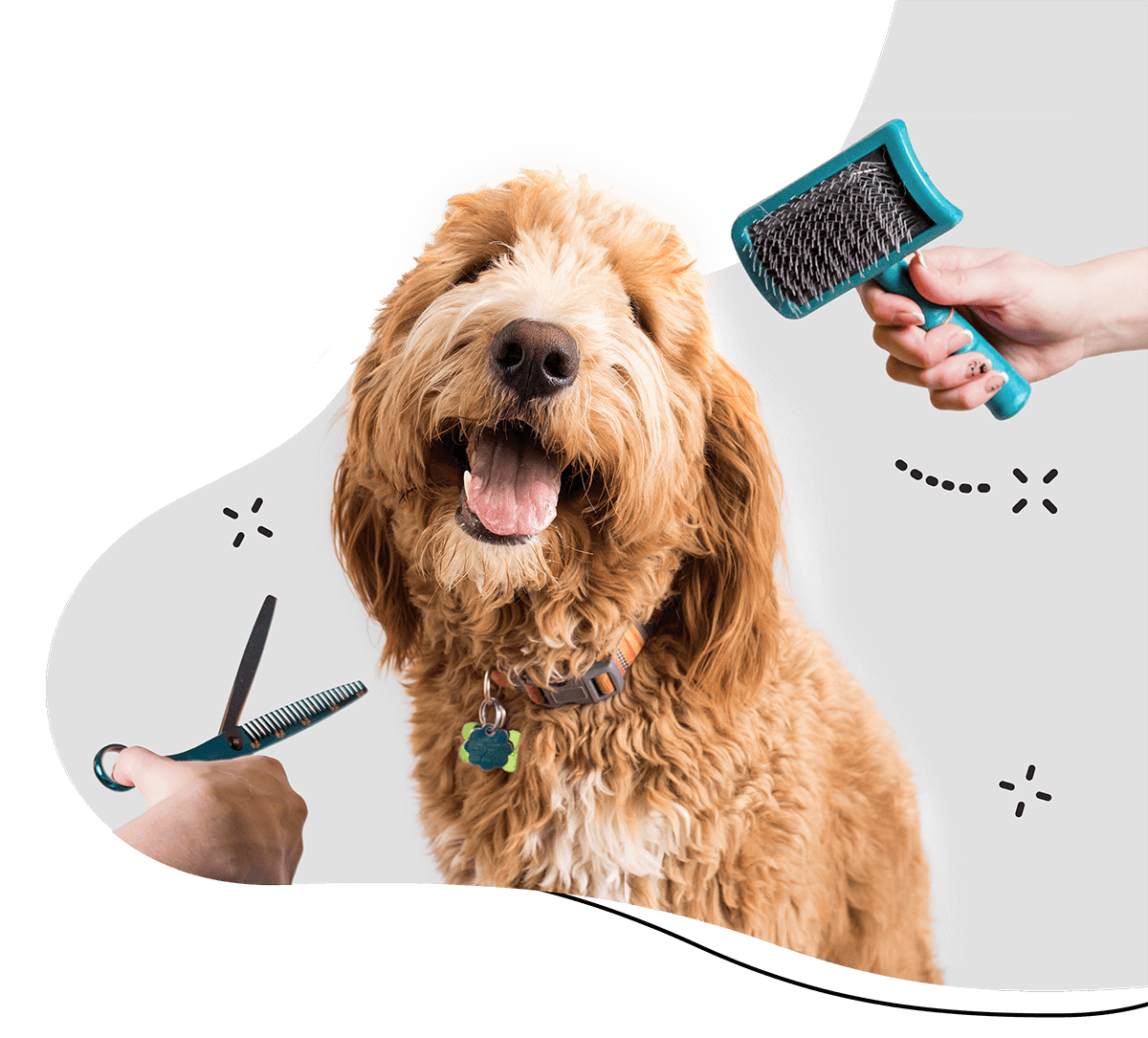 https://barkinbeauties.ca/wp-content/uploads/2019/08/hero_home_3.png