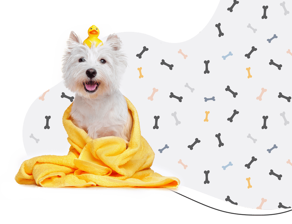 Pawsitive https://barkinbeauties.ca/wp-content/uploads/2019/08/hero_prices.png